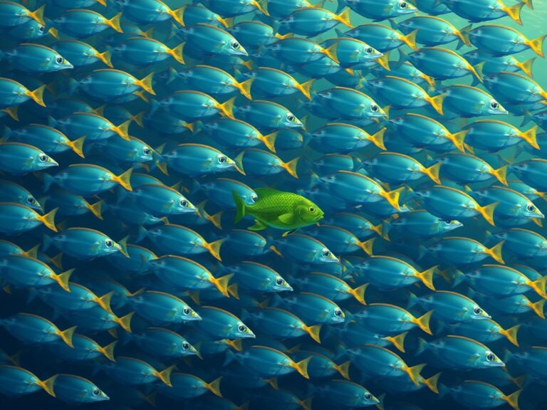 img-value-growth-income-momentum-contrarian-finding-your-winning-investment-strategy-2